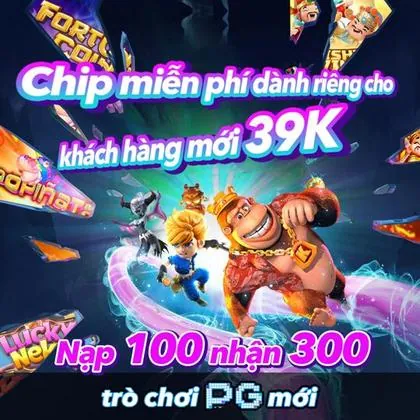 567TOP 567TOP